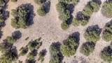 10767 Sawatch Range Road - Photo 13