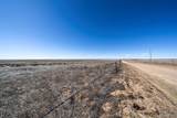 36420 Wagner Lane - Photo 4