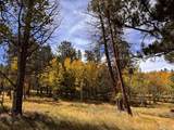 Lot 20 Echo Lake Drive - Photo 11