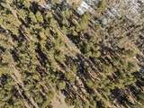 Lot 20 Echo Lake Drive - Photo 15