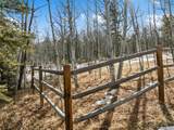 Lot 20 Echo Lake Drive - Photo 5