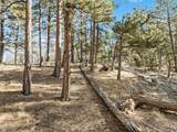 Lot 20 Echo Lake Drive - Photo 7