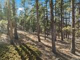 Lot 20 Echo Lake Drive - Photo 8