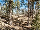 Lot 20 Echo Lake Drive - Photo 9