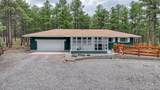 9950 Pine Park Trail - Photo 1