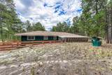 9950 Pine Park Trail - Photo 11