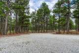 9950 Pine Park Trail - Photo 36