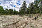 9950 Pine Park Trail - Photo 38