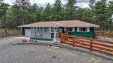 9950 Pine Park Trail - Photo 39