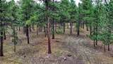 9950 Pine Park Trail - Photo 5