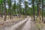 9950 Pine Park Trail - Photo 6