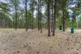 9950 Pine Park Trail - Photo 7