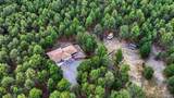 9950 Pine Park Trail - Photo 9