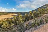  Mountain Ranch Road - Photo 3