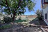 16775 Blue Mist Circle - Photo 20