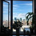 603 Inca Street - Photo 7