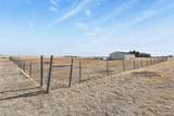 26846 Richards Circle - Photo 44