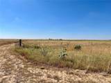 46850 County Road 46 - Photo 15