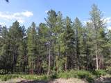 4415 Elati Road - Photo 5