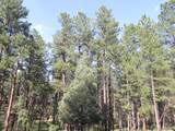 4415 Elati Road - Photo 8
