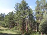 4415 Elati Road - Photo 9