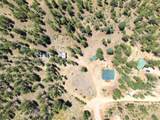 278 Hayes Street - Photo 46