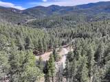 205 Yankee Creek Trail - Photo 6