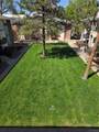12183 Melody Drive - Photo 13