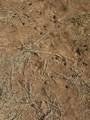 Lot 6976 Trinchera Ranch Road - Photo 21