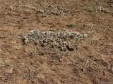 Lot 6976 Trinchera Ranch Road - Photo 22