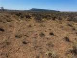 Lot 6976 Trinchera Ranch Road - Photo 23
