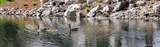 13902 Marina Drive - Photo 40