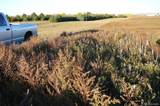 TBD Hwy 52 - Photo 5