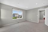12783 River Rock Way - Photo 19