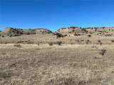 PAR 53 Horse Creek Road - Photo 8