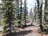 220 Pepperbox Path - Photo 4