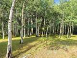 74 Silver Lode Circle - Photo 39