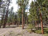 16872 County Road 325 - Photo 18