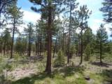 16872 County Road 325 - Photo 26