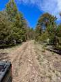 16872 County Road 325 - Photo 33