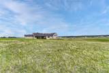 10853 Alamar Way - Photo 50