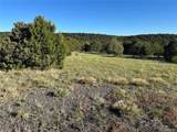 Lot 165 Silver Spurs Ranch - Photo 12