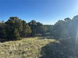 Lot 165 Silver Spurs Ranch - Photo 4