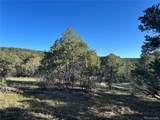 Lot 165 Silver Spurs Ranch - Photo 10