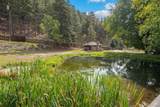 1733 Swede Gulch Road - Photo 5