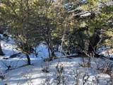 Lot 7898 Tiernan Road - Photo 11