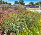 4574 Wyandot Street - Photo 23