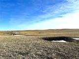  40 Acres - Elbert County - Hwy 86 - Photo 18