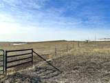  40 Acres - Elbert County - Hwy 86 - Photo 3