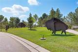 3763 Wild Horse Drive - Photo 49